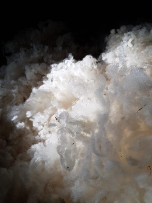 Laine en Flocons – Image 2